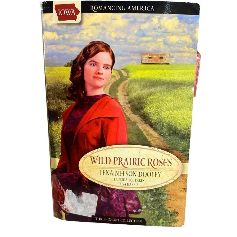 Iowa Romance Novels Set of 2 Romance Paperbacks Book Bundle